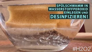 Spülschwamm in Wasserstoffperoxid einlegen. (720p)