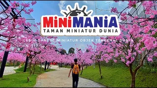 TAMAN SAKURA di MINI MANIA Lembang Bandung | TRAVELING BEBAS 92