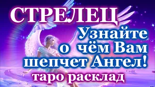 СТРЕЛЕЦ 💌 О ЧЕМ ПРЕДУПРЕЖДАЕТ ВАШ АНГЕЛ-ХРАНИТЕЛЬ 💌 ЭТО ВАЖНО ЗНАТЬ! 💖 ТАРО ПРОГНОЗ ГАДАНИЕ ГОРОСКОП