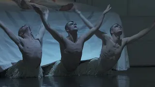 MB Swan Lake Trailer 2023