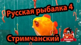 Русская рыбалка 4. Стрим. Симулятор рыбалки