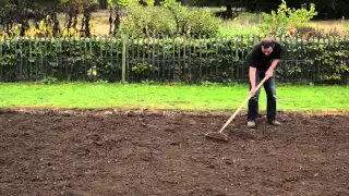 How to sow a new lawn - Gro-Sure