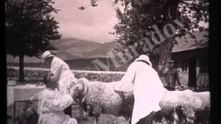 İSTİQLAL BİNASININ VARİSİ - ADAU (Xronikal-sənədli film)