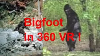 a 360 video experience, climbing up the rock sasquatch caught on camera , bigfoot, yeti, comedy