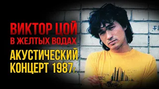 Редкая запись концерта Виктора Цоя 1987г.  Желтые воды.  Самое загадочное выступление Виктора Цоя!