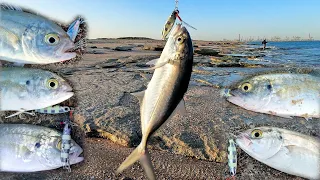 The blue runners season officially started this morning in shore jigging 🐟👌 - 4K - EN Subs