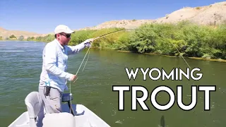 Wyoming Trout | North Platte River