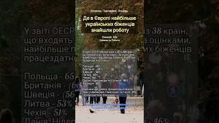 🇪🇺Де в Європі найбільше українських біженців знайшли роботу #trueworkinfo українцівєвропі