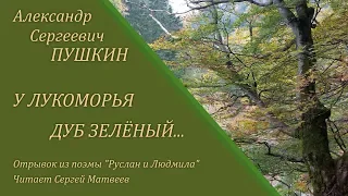 У лукоморья дуб зелёный... Александр Сергеевич Пушкин. Отрывок из поэмы "Руслан и Людмила"