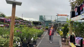 Jom Pi Walmart & Home Depot Cari Benih Sayur Pokok Buah | Siri Bercucuk Tanam Dengan Puan Kak Shima