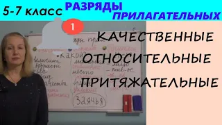 РАЗРЯДЫ ПРИЛАГАТЕЛЬНЫХ//КАЧЕСТВЕННЫЕ, ОТНОСИТЕЛЬНЫЕ, ПРИТЯЖАТЕЛЬНЫЕ