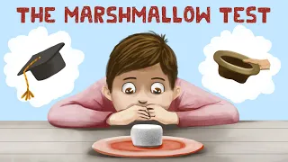 The Marshmallow Test (Stanford Experiment + Truth)