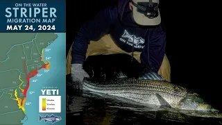 Striper Migration Report | May 24, 2024