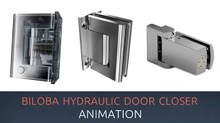 Inside the Biloba Oil Dynamic Hydraulic Door Closer Hinge