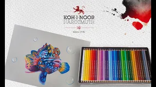 Kredki Polycolor i Infinite Black - rysujemy kolorową rybę! Timelapse