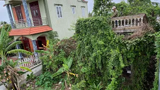 Terrified when weeds covered the abandoned house more than 100 year old | Clean, cut overgrown weeds