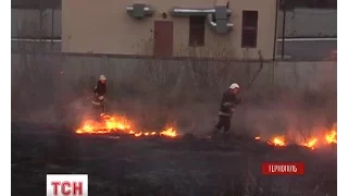 У Тернополі сталася масштабна пожежа через підпал сухої трави