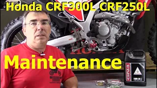 Honda CRF300L CRF250L Oil & Air Filter Change How To