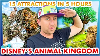 15 Attractions in 5 Hours -- Disney’s Animal Kingdom