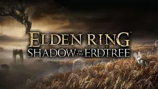 What I Want in Shadow of the Erdtree