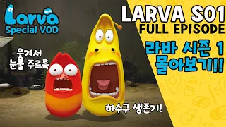 🆂🅿🅴🅲🅸🅰🅻▶LARVA S01 | 라바 시즌 1 | FULL Episode | 시간순삭!! 코믹 애벌레들의 하수구 생존기!! | 케이블_BOX