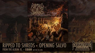 RIPPED TO SHREDS "Opening Salvo"