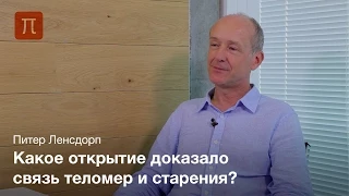 Роль теломер в процессах старения и образования опухолей - Питер Лэндсдорп