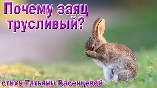 «Почему заяц трусливый?» - описание и особенности в природе.