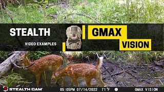 Stealth Gmax Vision Video Examples #trailcamjunkie  #Stealthcam #Trailcamera