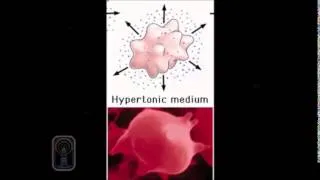 Explaining Hypo, Hyper, and Isotonic