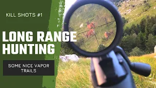 Long range  hunting - kill shots #1