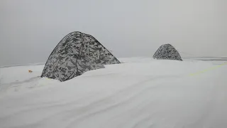 Ловля плотвы в Ураган на Днепре