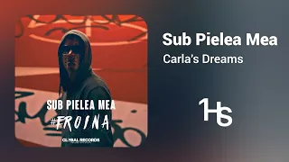 Carla's Dreams - Sub Pielea Mea | 1 Hour