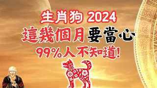 2024甲辰龍年，生肖狗，要出事的月份！要警惕！運勢好的月份是幾月？需要提前掌握！千萬要注意！2024年生肖狗運勢 | 2024年生肖狗運程 |生肖狗運勢|生肖狗運程|屬狗運勢|屬狗運程