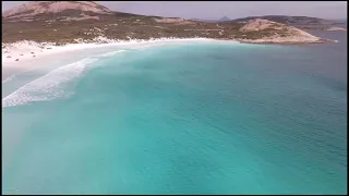 Shark Swims Near Shore at Western Australia Beach