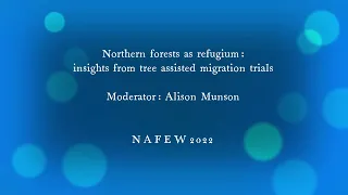 Northern forests as refugium: insights from tree assisted migration trials