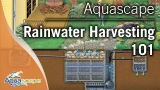 Aquascape's Rainwater Harvesting 101