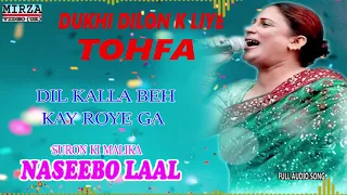 Naseebo Dil Kalla Beh Kay Roye Ga (Full Audio Song) | Naseebo Lal | Mirza Entertainment