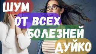 Шум от всех болезней Дуйко Сидхисаунд