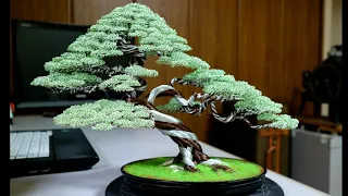 How To Make a wire bonsai tree, pea green color