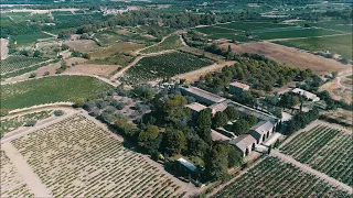 17th C. Bastide for sale, 2 houses  & Vineyard Domain