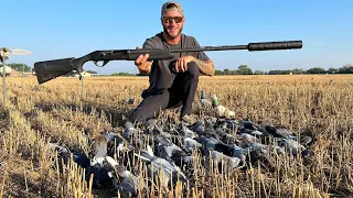 First Silenced Solo Pigeon Hunt of the Season Was Insane!!