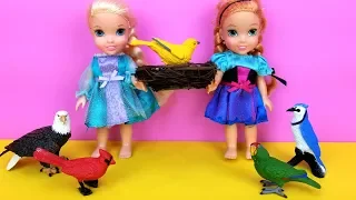 Elsa and Anna toddlers SAVE a bird ! Aviary - Barbie is the pet doctor - park - vet