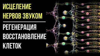 Исцеление нервов💥Мощная регенерация💥Исцеление звуком (Гц)