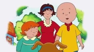 Caillou 501 - Caillou's Cricket//Dog Dilemma//The Spider Issue