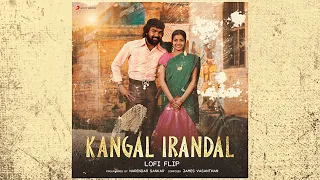 Kangal Irandal Lofi Flip | James Vasanthan | Jai | Sasi Kumar | Swati