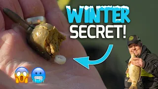 The SECRET winter hookbait! | Jamie Hughes Feeder Tip!