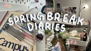 spend spring break with me! (studying, food, going out)