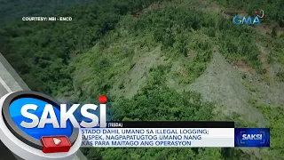 4 arestado dahil umano sa illegal logging; mga suspek, nagpapatugtog umano nang malakas... | Saksi