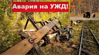 Он не видел ничего подобного! Ремонт букса. Медведи у избы. Украли фотоловушку.